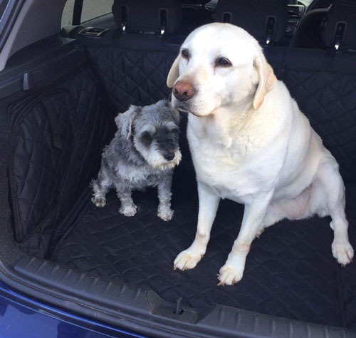 Lottie and Meg - Fully Tailored Boot Liner - BMW 1 Series (2011-Present)
