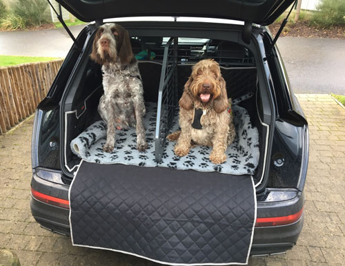 Bodie and Tucker - Fully Tailored Boot Liner - Audi SQ7 (5 Seat Mode) with Dog Guard Fitted 2015 - P