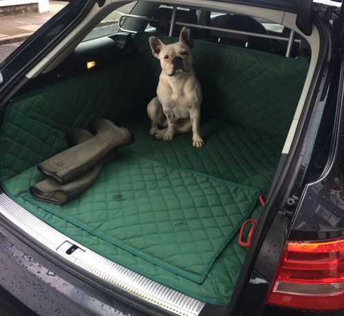 Hippo The French Bull Dog - Relaxing in his Audi A6 Avant Boot Liner