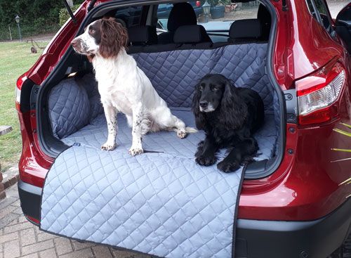 York and Blue - Ready for a trip out in their Grey Nissan Qashqai Boot 