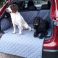 York and Blue - Ready for a trip out in their Grey Nissan Qashqai Boot 