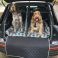 Bodie and Tucker enjoying their custom made Audi SQ7 boot liner