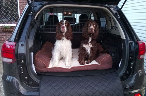 Smudge & Mabel - Cocker Spaniel Boot Liner