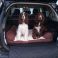 Mabel & Smudge - Fully Tailored Outlander PHEV Boot lIner (2014-2017)