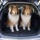 Ben & Charlie - Fully Tailored Boot Liner Outlander PHEV (2017-Present)