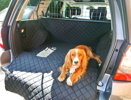 Alber enjoying his new Freelander Boot Liner