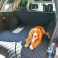 Alber enjoying his new Freelander Boot Liner