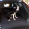 Volvo XC60 Boot Liner - Pet Transport