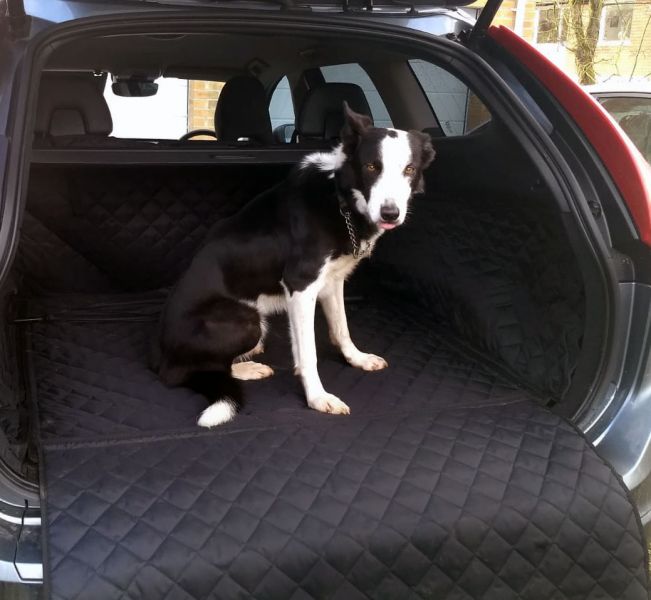 Molly enjoying her first ride in their Volvo XC60 (2008 - 2017) with our Fully Tailored Boot Liner