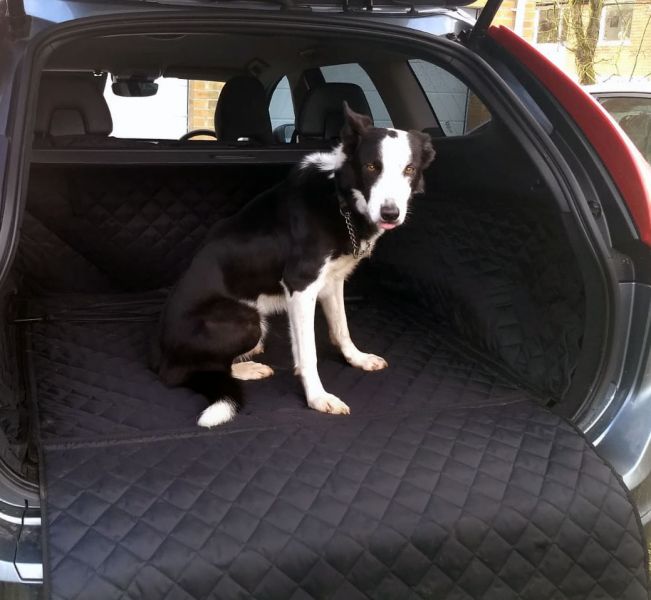 Molly enjoying her first ride in their Volvo XC60 (2008 - 2017) with our Fully Tailored Boot Liner Molly enjoying her first ride in their Volvo XC60 (2008 - 2017) with our Fully Tailored Boot Liner