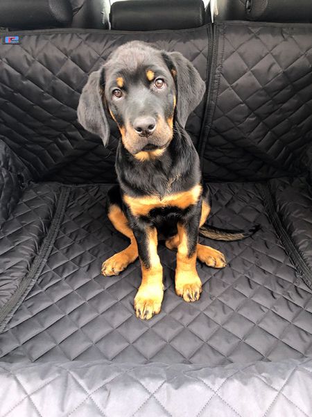 Rita enjoying the new fully tailored boot liner for the family's BMW 1 Series 2004-2011 Rita enjoying the new fully tailored boot liner for the family's BMW 1 Series 2004-2011