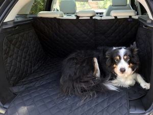 Dogs Traveling In Style