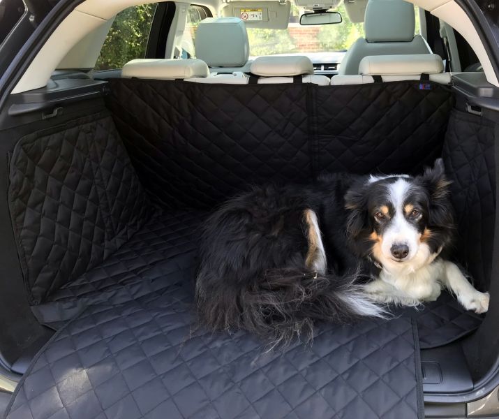 Rosie the Tri-Coloured Collie having a rest in the Family's Range Rover Evoque (2011 - Present) Rosie the Tri-Coloured Collie having a rest in the Family's Range Rover Evoque (2011 - Present)